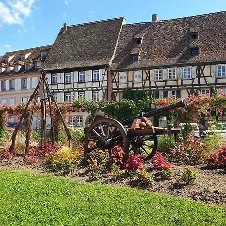 Douillet Confort 3 - Wifi - Parking Daire