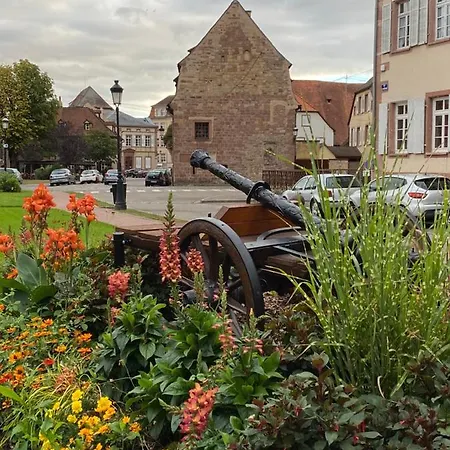 Lejlighed Douillet Confort 3 - Wifi - Parking Wissembourg