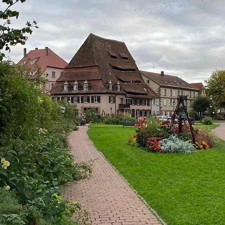 Douillet Confort 3 - Wifi - Parking Wissembourg