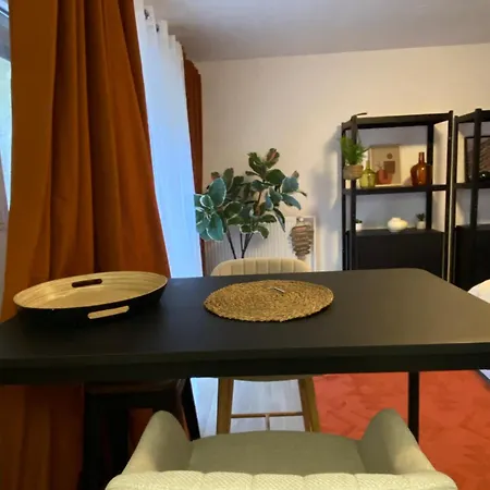 Apartament Douillet Confort 3 - Wifi - Parking Gratuit